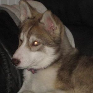 Meet your Posher, Warren